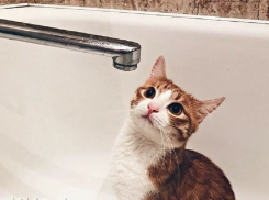 Власти Бердянска назвали причину внезапного отключения воды по всему городу