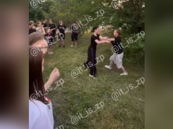 На видео сняли, как девочки-подростки устроили бои без правил в запорожском селе