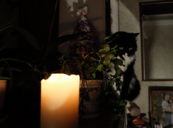 Жителей Михайловского округа предупредили о перебоях со светом из-за обстрелов ВСУ