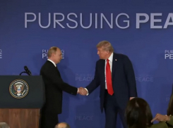 «Киев близок к капитуляции»: запорожцы высмеяли Зеленского после встречи Путина и Трампа на Аляске