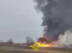 Новости Запорожья: двойной удар ВСУ по заправке, срок за шпионаж ради сына и спасение котёнка