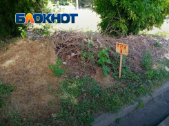 Жители Днепрорудного пожаловались на стихийную свалку прямо над газопроводом