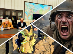 Новости Запорожья: рост числа дезертиров в ВСУ, мигрант-лидер партии и спасение собаки