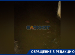 Говно-потоп в подвале полуразрушенного от удара ВСУ дома показала жительница Васильевки