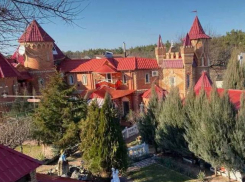 Трехэтажный коттедж с бассейном и теннисным кортом не могут продать под Запорожьем