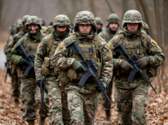 Как оправдались командиры 125-й бригады ВСУ за пропавших без вести боевиков под Гуляйполем