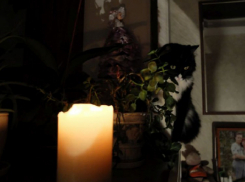 В каких районах Запорожской области не будет света 13 октября 