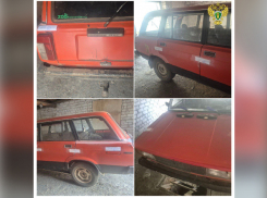 Суд строго наказал пьяного гонщика на «Жигулях» из Васильевки