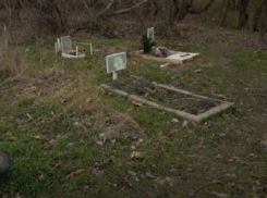 Развлекательный комплекс собрались строить на костях животных в Запорожье