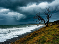 Штормовое предупреждение из-за сильного ветра объявлено в Запорожской области