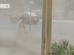 Появились кадры мощной пыльной бури, повалившей деревья в Энергодаре