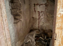 Запорожцы показали жуткое заброшенное укрытие с крысами в центре города