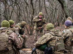 Новости СВО: раздел Запорожья, освобождение Степового и прорыв обороны ВСУ