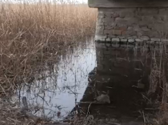В Запорожской области намерены расчистить реку Берда