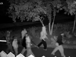 Камера видеонаблюдения сняла группу подростков-вандалов, разгромивших забор в Запорожье