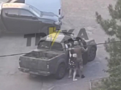 Военкомы в Запорожье скрутили мужчину во время прогулки с собакой