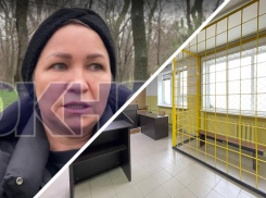 «Они игнорируют закон»: мама сбитой в Мелитополе Лизы оспорила уголовное дело