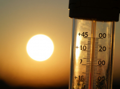 Аномальная жара под 40° ожидается в Запорожской области