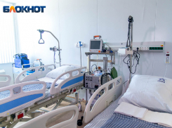 Два человека попали в больницу после массированной атаки ВСУ по Каменке-Днепровской