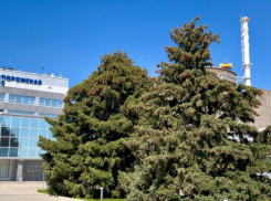 Экс-инженера Запорожской АЭС осудили на 18 лет за попытку теракта на станции