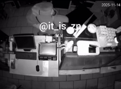 Момент кражи генератора из пекарни попал на видео во время отключения света в Запорожье