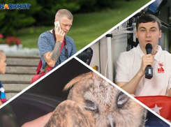 Новости Запорожья: угрозы дипфейк-атак, мимимишное спасение совёнка и поздравление с Днём Победы с МКС