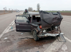 Два человека чуть не погибли в ДТП под Мелитополем