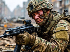 Более 100 нарушений прав участников СВО выявили в Запорожской области