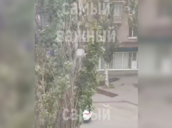 «Слава богу, людей рядом не было»: первые последствия жуткого ветра показали на видео в Мелитополе