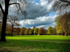 Похолодание и переменная облачность ожидается в Запорожской области 11 июня