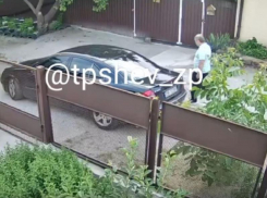 Гнусный поступок мужчины попал на камеру видеонаблюдения в Запорожье