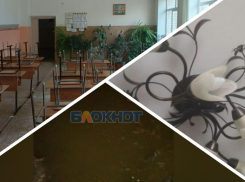 Новости Запорожья: полиция будет следить за детьми, говно-потоп и двухдневный блэкаут