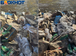 Гора испорченных продуктов появилась под окнами жителей запорожского села Ивановка