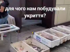 В Запорожье торговцы рыбой не пускали людей в укрытие во время воздушной тревоги