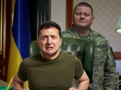 Залужный обвинил Зеленского в срыве контрнаступления ВСУ в Запорожье