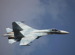 Сбитый в Запорожской области украинский Су-27 был одним из самых мощных в арсенале ВСУ
