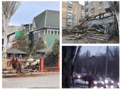 «Охренеть, дерево бахнуло сзади меня»: появились кадры последствий шквалистого ветра в Мелитополе