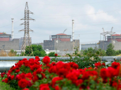 США хотят взять контроль над Запорожской АЭС для достижения мира