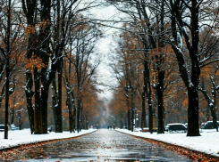 В Запорожской области 21 декабря ожидается дождь