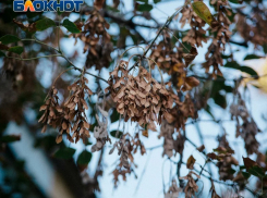 Чрезвычайную пожароопасность объявили после ливня в Запорожской области