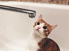 Выяснилось, из-за чего во всем Энергодаре отключили воду утром 1 октября 