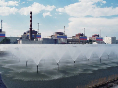 Киевские боевики вновь сорвали ротацию МАГАТЭ на Запорожскую АЭС