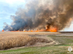 Сотрудники МЧС потушили масштабный природный пожар под Бердянском