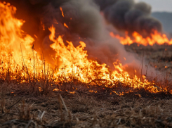 В Запорожье чуть не сгорело несколько частных домов