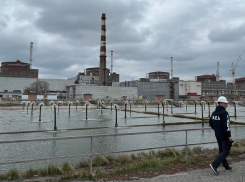 Зеленский призвал США инвестировать деньги в Запорожскую АЭС