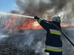 Запорожские спасатели более 6 часов тушили сухую траву в Запорожье