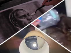 Новости Запорожья: ВСУ потушили свет в регионе, издевательства подростка над собакой и сюрприз для Путина