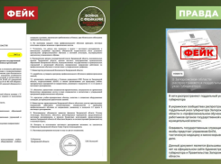 Фейки об отправке запорожских чиновников на военную подготовку распространили в украинских каналах