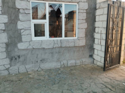 ВСУ ранили льва во время удара по Васильевскому зоопарку