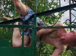 Мужчина в Запорожье насадился на пику металлического забора и провисел вниз головой два часа